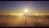 //www.youtube.com/embed/CaJiYkqMc1I