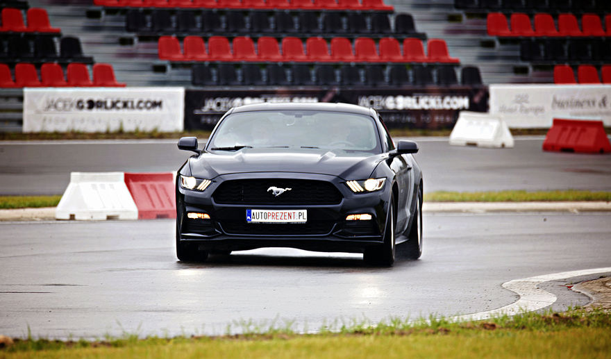 Jazda Ford Mustang - kierowca - #2
