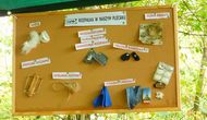 Kurs Survivalu (Szkoła przetrwania) - #1